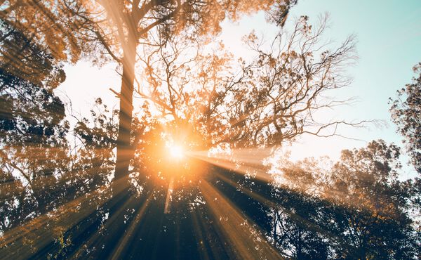 /Magazine/2021/April/2021-04-19_9 tiny, easy energy-boosting habits to incorporate into your day.jpg